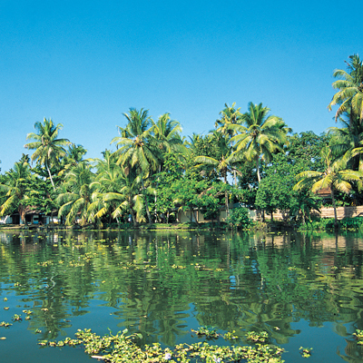 Alappuzha