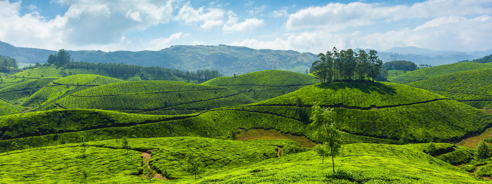 Munnar