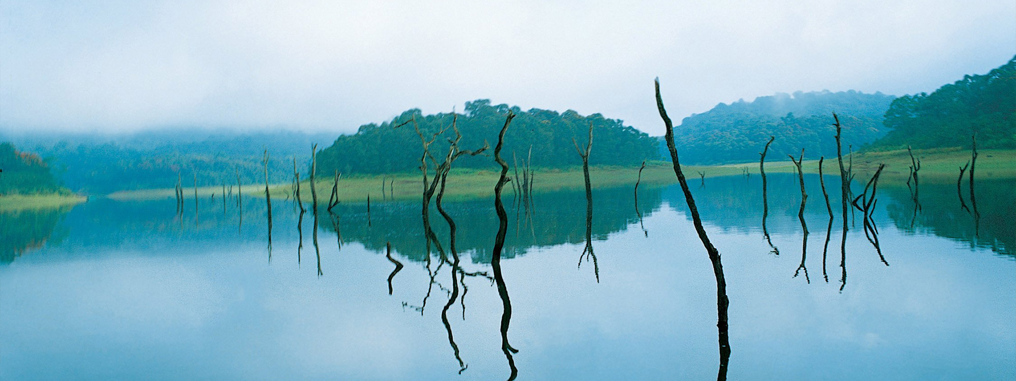 Thekkady