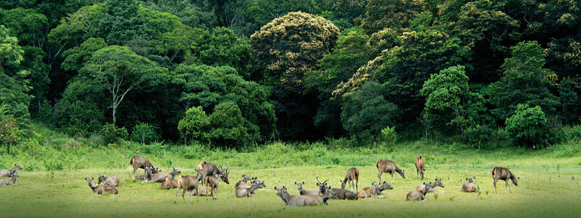 Thekkady